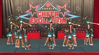 Cheer Sport - Starry Sharks - Large Junior 2