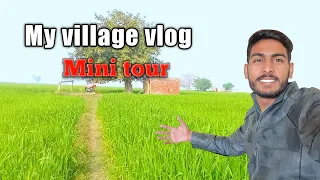 My village mini vlog😍 | Kalianwala Hafizabad | village beauty ❤