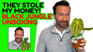 $125 for an crappy plant! Unboxing Anthuriums and an EXPENSIVE philodendron from Black Jungle.