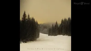 Veldes - The Bitterness Prophecy