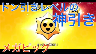 【ブロスタ】メガピッグで神引き