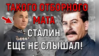 ✯ Как генерал Сталина обматерил и что ему за это было