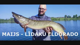 MAIJS - LĪDAKU ELDORADO