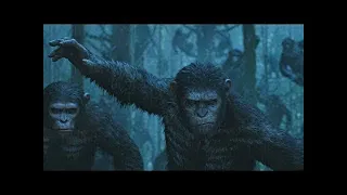 Opening Hunting Scene | Dawn of the Planet of the Apes (2014)#LOWI