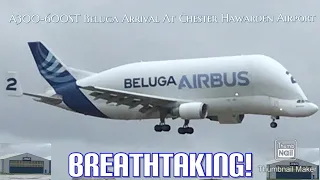 A300-600ST Beluga INCREDIBLE Heavy Arrival At Chester Hawarden Airport / Airbus Factory | 13/10/19