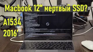 Macbook A1534 устроил забастовку и не работает. Поглядим?