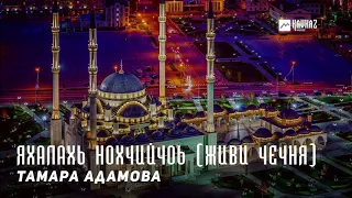 Тамара Адамова - Яхалахь Нохчийчоь (Живи Чечня) | KAVKAZ MUSIC CHECHNYA