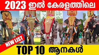 Top 10 Popular Elephants in 2023 🔥🔥 കേരളത്തിലെ ഏറ്റവും ഡിമാന്റ് ഉള്ള 10 ആനകൾ 2023  Kerala elephants
