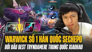 BOY1CHAMP WARWICK HÀN QUỐC SECHEPPO XỬ LÝ KÈO CỰC HAY KHI ĐỐI ĐẦU BEST TRYNDAMERE TRUNG QUỐC XIAOHAO