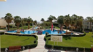 Amphoras beach resort Шарм-эль-Шейх 2024. Отдых в Египте