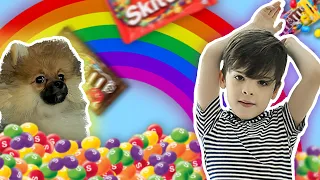 ЧЕЛЛЕНДЖ волшебная Радуга из конфет scittles и m&m's