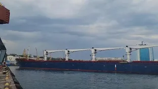 GLOBALink | 1st ship with grain leaves Ukraine's Black Sea port