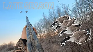 LATE SEASON Goose Hunting | Catch & Cook | 2024