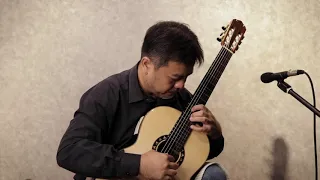 L.Luthier Q nine SR Classical Guitar Sound Demo