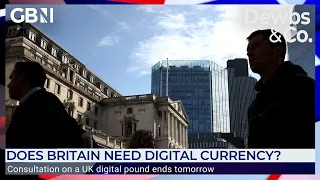 Digital Pound: 'With a CBDC you lose complete control of your wealth!' | Ben Habib