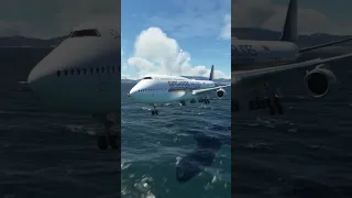 It was terrible when the Singapore plane failed to land #shortvideo #landing #airplane #newzealand