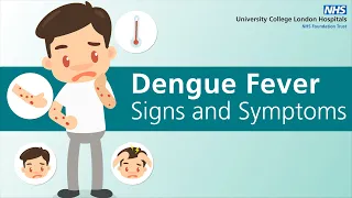 What are the signs and symptoms of dengue fever?