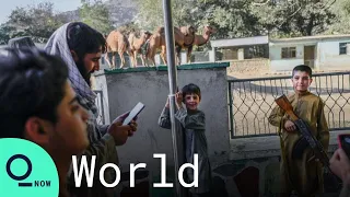 Taliban Fighters, Kabul Residents Seek Normalcy at Zoo