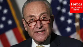 JUST IN: Chuck Schumer & Senate Democrats Demand FTC Investigate Marketing Of 'JR-15 Rifles' To Kids