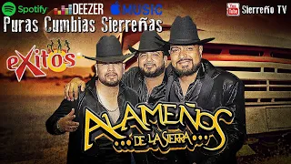 Popurri Los Alameños de la Sierra 🤠 Pura Excelencia Bailable de Los Alameños ~ Puras Pa Bailar