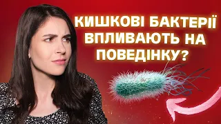 Як пов'язані мозок, кишечник і мікробіота?