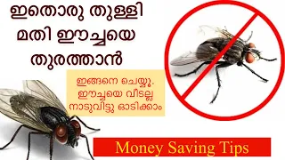 ഈച്ചയെ തുരത്താൻ ഇതാ കിടിലൻ ടിപ്സ് | how to get rid of house fly naturally | Money Saving Tips