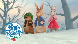 Peter Rabbit - Origin Stories | Cartoons for Kids