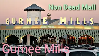 Non Dead Mall: Gurnee Mills - Gurnee, Il