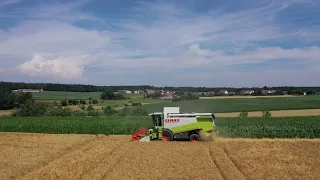 Gerste Dreschen 2019 | Claas Lexion 460 | Steyr 9095 MT | Krone Emsland |