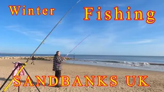 Winter Sea Fishing Adventure: Catching a Variety of Species in UK Sandbanks! 🎣