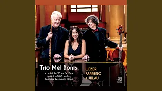 Trio in E Minor, Op. 45: II. Andante