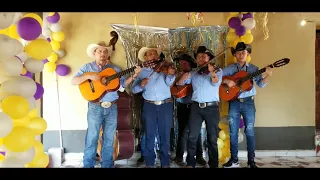 Mix En vivo Conjunto Familias Unidas