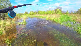 ТИСЯЧІ ТОРПЕД САЗАНІВ ЗБИВАЮТЬ З НІГ.Рибалка на боковий кивок