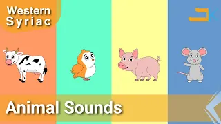 Animal Sounds | Qolo D Haywotho | Kids Songs | Western Syriac (Surayt) | Assyrian Aramaic Suryoyo