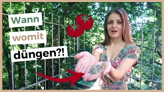 Tomaten richtig düngen! 🍅 Nutzt du diese 3 Methoden?