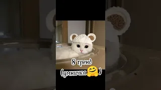 Танцуй если знаешь этот тренд, а если не знаешь то придумывай😉