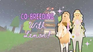 CO-BREEDING WITH @LemonPlaysRoblox!!!