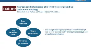 Codon optimization: Why & how to design DNA sequences for optimal soluble protein expression