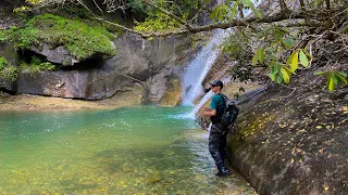 Fishing a Beautiful River for Brown Trout! (A Weekend Adventure)