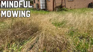 SATISFYING OVERGROWN GRASS MOWING FULL BACKYARD TRANSFORMATION