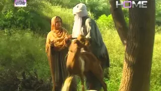 EID-UL- AZHA special TELEFILM "Qurbani Qabool farma" Promo