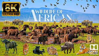 Amazing Scene of African Wildlife In 8K ULTRA HD - Relaxing Music With Beautiful Nature