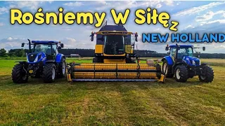 Prezentacja Kombajnu New Holland CX 6.80 |Nowy nabytek [vlog#131]