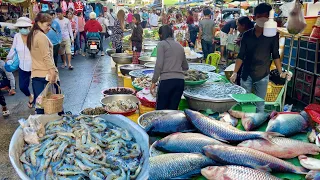 See The Orrusey Market Scene With: Seafood, Crab, Vegetables, Fish & More In Phnom Penh Cambodia