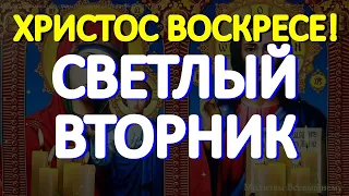 Светлый Вторник Пасхальной Недели. Господь по земле ходит и помогает каждому