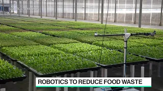 Using Robotics to Reduce Food Waste