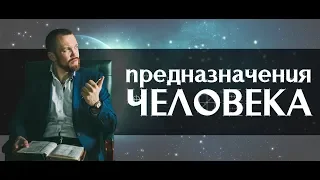 В чем предназначение человека? Что такое предназначение.