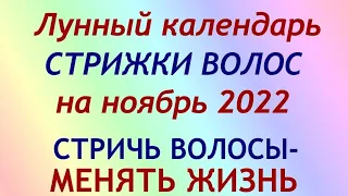 Лунный календарь СТРИЖКИ волос на НОЯБРЬ 2022. Благоприятные и неблагоприятные дни.