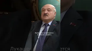 Лукашенко винит в войне Порошенко: "сегодня и расхлебывают эту ситуацию"