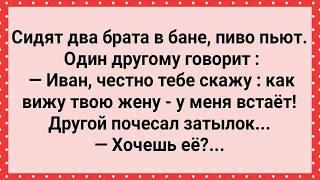 Брат Захотел Жену Брата! Сборник Свежих Анекдотов! Юмор!